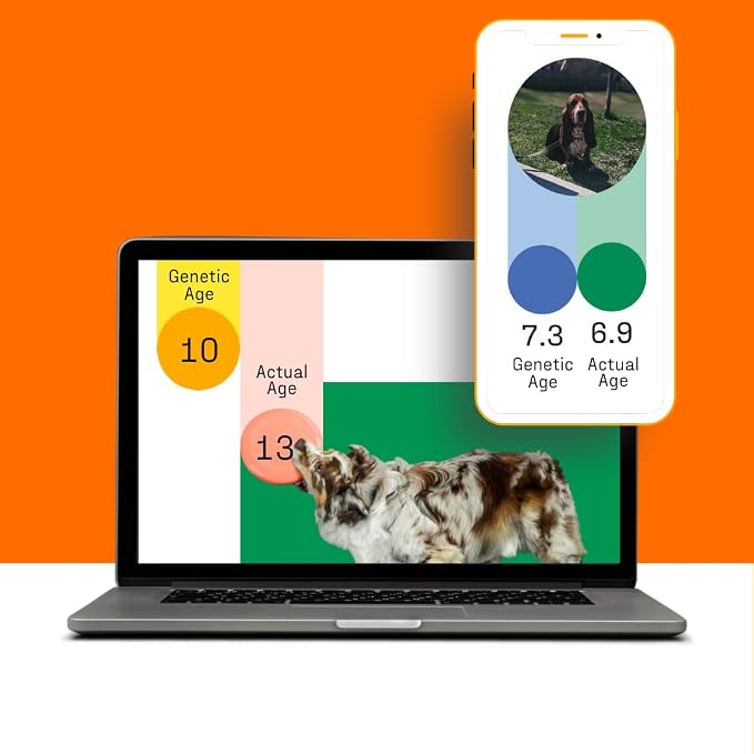 DNA My Dog Premium DNA Test - Metal, White
