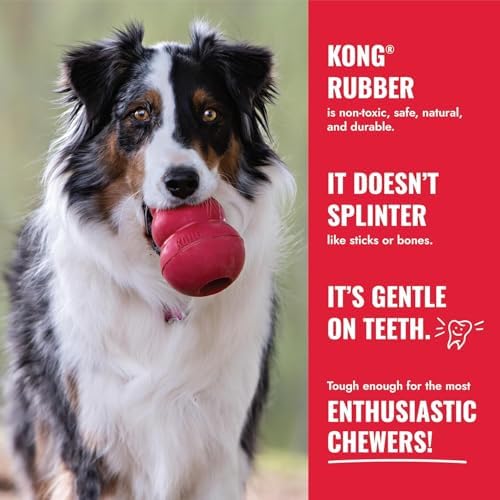 KONG Donut Dog Toy, Natural Rubber Chew Toy, for Large/X-Large Dogs | Durable KONG Natural Rubber Chew & Fetch Toy That Promotes Healthy Teeth & Gums with a Fun Bounce & Easy Roll