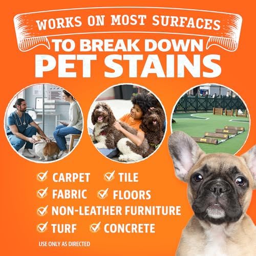 ANGRY ORANGE 1 Gallon Enzyme Cleaner and Deodorizer, Pet Stain and Odor Remover for Dog & Cat Urine and Stains - Orange Rush Scent, Made in USA