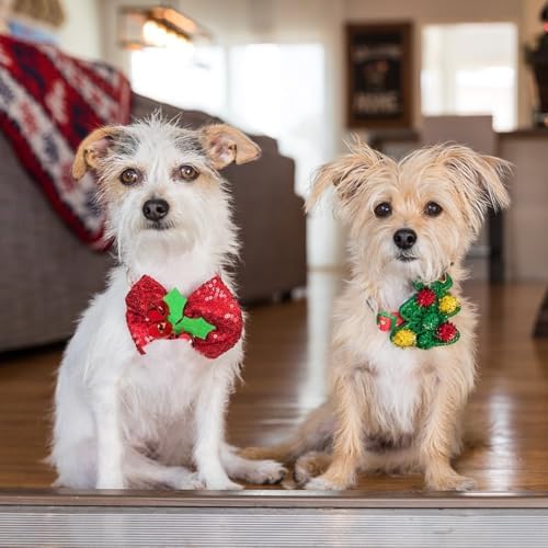 Blueberry Pet Holiday Christmas Dog Collar, Small 12"-16" Neck, Adjustable Eco-Friendly Collar with Bowtie & Glitter Décor for Small Dogs