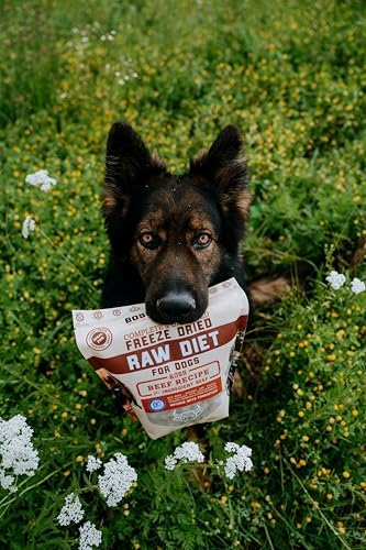 Boss Dog Freeze Dried Raw Diet (Dogs), Beef Recipe, 12 oz Bag (Bag of 2)