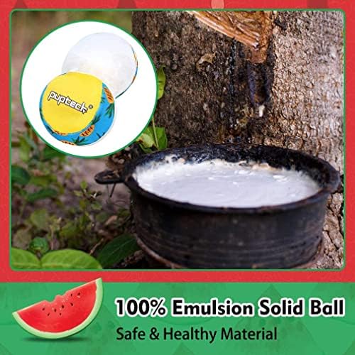 PUPTECK Floating Dog Pool Toys, Bouncing Balls, 2-Pack, Pineapple & Watermelon