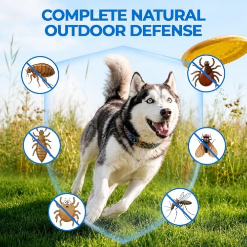 Flea and Tick Soft Chews for Dogs, 120 Count