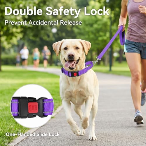 Joytale Martingale Collar for Dogs, Escape Proof No Pull, Purple, S