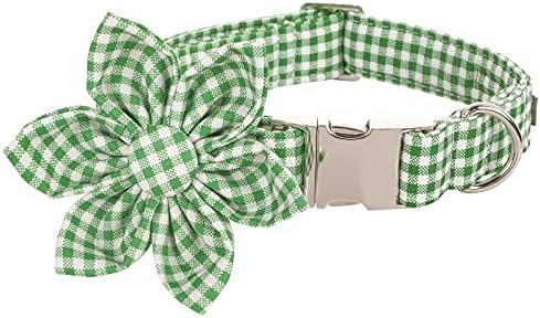 Lionet Paws Dog Collar with Flower, Soft and Comfortable, Adjustable Collar for Medium Dogs Girl, Neck 13.5-22 inches