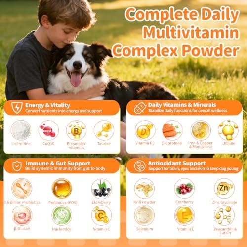Dog Multivitamin Powder – Energy, Gut & Immune, Beef, 75 Scoops | Dog Vitamins and Supplements, Antioxidants, Skin & Coat for Homemade Food with L-Carnitine, Taurine, Probiotics