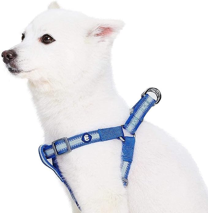 Blueberry Pet Essentials Step-in Reflective Back to Basics Dog Harness, Navy Blue, Chest Girth 16.5" - 21.5", Small, Adjustable Harnesses for Dogs