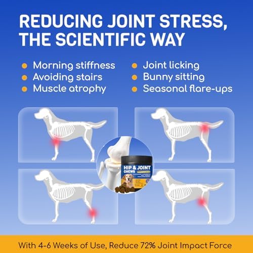 Glucosamine for Dogs, Hip & Joint Supplement, 180 Chews