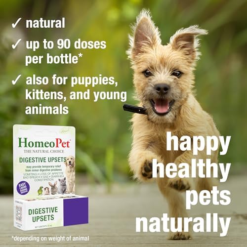HomeoPet Digestive Upsets, Supplement for Dogs and Cats, 15 Milliliters