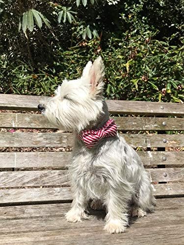 Lionet Paws Christmas Dog Collar with Bowtie Durable Adjustable Handmade Comfortable Bow Tie Dog Collar Cat Collar with Metal Buckle for XXS Cats,Party,Festival,Holiday Style,Neck 7-11in