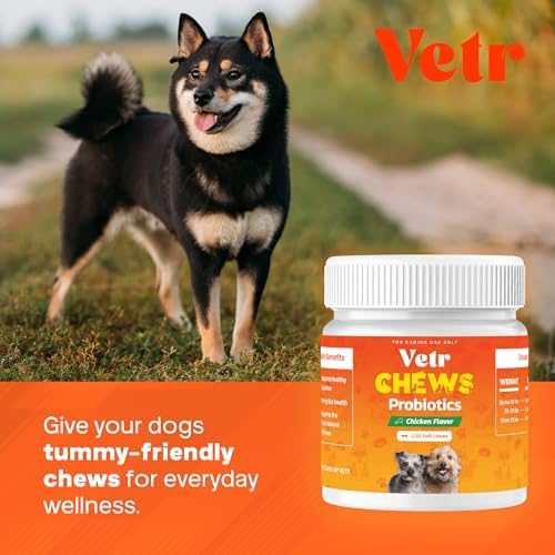 Vetr Probiotic Chews for Dogs - Chicken Flavored - Probiotics for Digestive Health - 120 Soft Chews - Vet-Formulated in USA