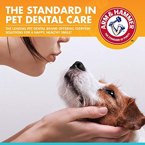 Arm & Hammer Fresh Breath Enzymatic Dog Toothpaste, 2.5 Oz, 72-Pack | Baking soda dental gel eliminates bad breath, safe for daily use in puppies and adult dogs
