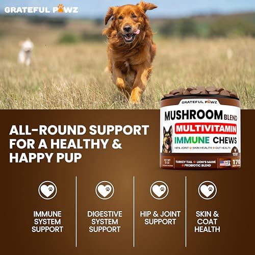 Turkey Tail Mushroom Supplement for Dogs - Mushrooms for Dogs - 170 Chews | Reishi, Lion’s Mane, Glucosamine Multivitamin - Immune Booster, Gut, Hip & Joint Health Support Vitamins, Energy & Skin