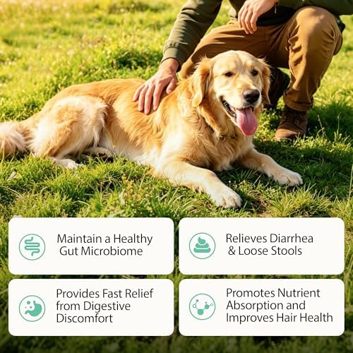 Probiotics for Dogs, Dog Probiotics for Digestive Health, Relieve Diarrhea, Promote Gut and Immune Health, Plus Pumpkin and Papaya, Promote a Balanced Gut Microbiome & Improve Coat Condition