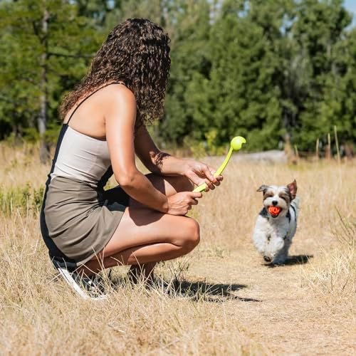 Chuckit! Air Fetch Ball Dog Toy, Medium (2.5 Inch Diameter), for Dogs 20-60 lbs, Ball - Medium,2 Count (Pack of 12)
