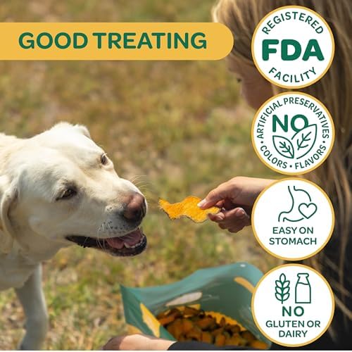 Wholesome Pride Pumpkin Slices Dog Treats – Single Ingredient, Dehydrated, All Natural, 20 oz