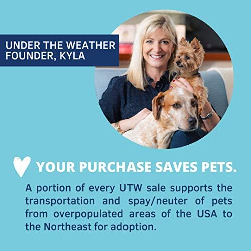 Under the Weather Bland Diet for Dogs | Easy to Digest for Sick Dogs | Always Be Ready | Contains Electrolytes - All Natural Freeze Dried 100% Human Grade Meats | 6 Pack - Multiflavor - 6oz