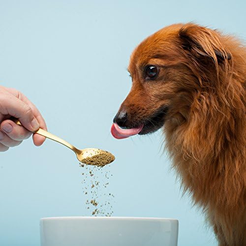 The Missing Link Pet Kelp Joint & Bone Organic Supplement Powder, Dog, 8 oz