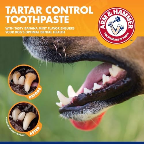 Arm & Hammer Tartar Control Dog Dental Kit, Banana Mint, 3-Piece, 2-Pack | Enzymatic toothpaste with toothbrush and fingerbrush, baking soda formula safe for puppies