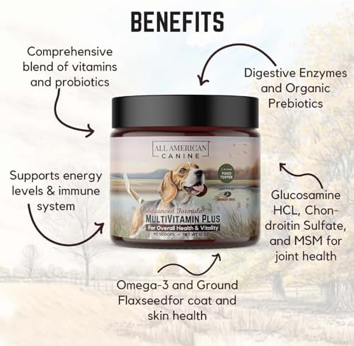 All American Canine Dog Multivitamin Powder, Beef Flavor, 90 Servings