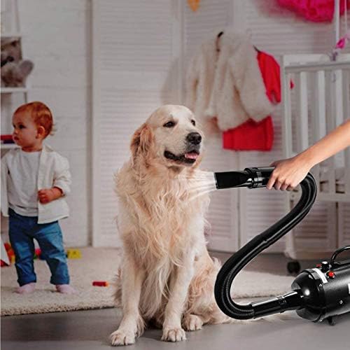 2400W Dog Hair Dryer Blaster Pet Grooming Hair Dryer High Velocity Motorbike Dryer with Adjustable Temperature for Dogs & Cats,with 2.3M Flexible Hose and 3 Nozzles,A Comb and A Glove