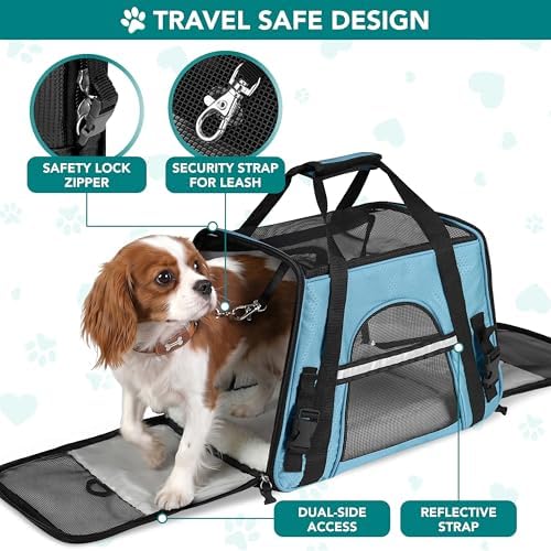 PetAmi Airline Approved Pet Carrier, Cats & Small Dogs, Large, Light Blue