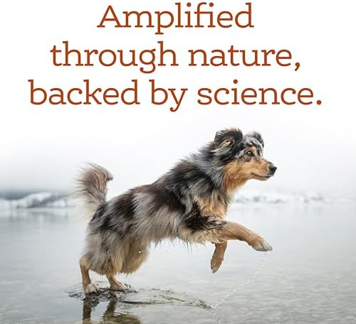 NutriSource AmpliFull Turkey Flavor Multivitamin Soft Chews for Dogs, Daily Supplement with Bovine Colostrum, Essential Vitamins & Minerals for Overall Health, 70 Chews (1 Pack)