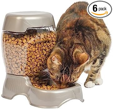 Petmate Pet Cafe Feeder Dog and Cat Feeder Pearlescent Colors 3 Sizes, Made in USA (Pack of 6)