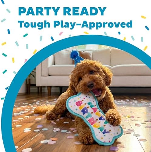 Outward Hound Tough Skinz Birthday Bone Dog Toy, Extra Durable Plush, No Messy Filling, Jumbo Squeaker, All Breeds, 9"