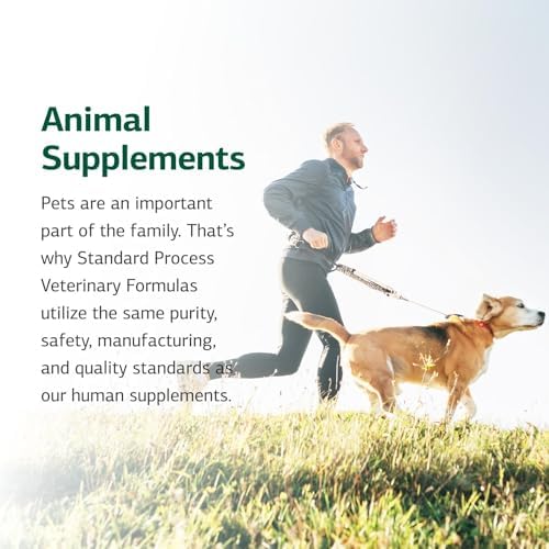 Standard Process Whole Body Multisystem Support for Canines, 100 g | Nutritional Powder for Daily Health Maintenance, Multisystem Support Supplement for Canines