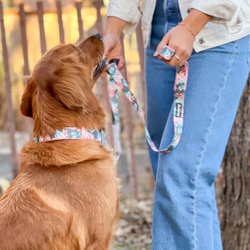 Blueberry Pet Floral Prints Neoprene Padded Dog Collar, Pink Rose, Adjustable Dog Collar for Large Dogs, Size Large, Neck 18-26”