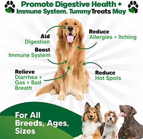 Dog Probiotics Chews 120 Ct, Digestive Enzymes, Prebiotics, Itchy Skin