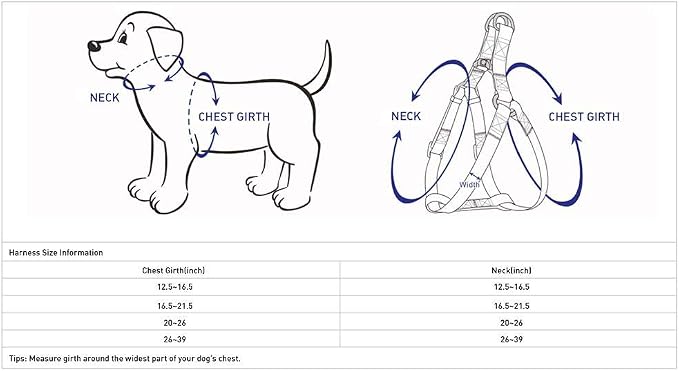 Blueberry Pet 9 Patterns Step-in Spring Scent Inspired Floral Rose Print Turquoise Dog Harness, Chest Girth 16.5" - 21.5", Small, Adjustable Harnesses for Dogs