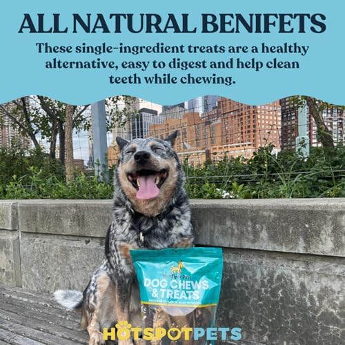 hotspot pets Beef Esophagus Dog Treats (6 INCHES - 25 Count) Grass Fed with No Added Hormone, All Natural Jerky Dog Treats - Dog Chews Rich in Glucosamine & Chondroitin for Joint Health