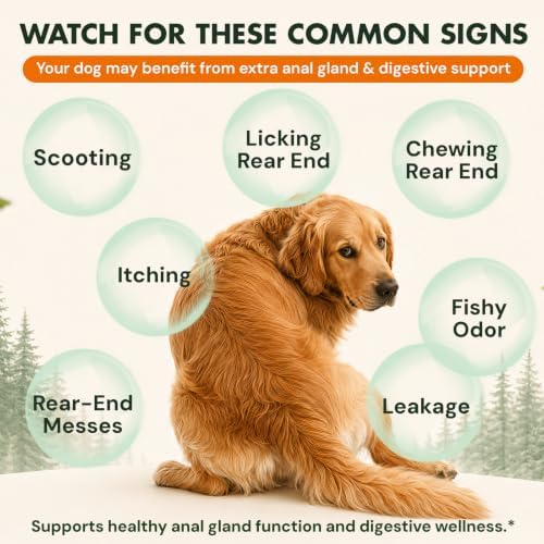 Anal Gland Support for Dogs, Pumpkin Fiber Chews with Probiotics Digestive Enzymes, Helps Manage Scooting & Rear Odors, Promotes Firm Stools & Dog Bowel Health, Peanut Butter Chews, 120 Ct
