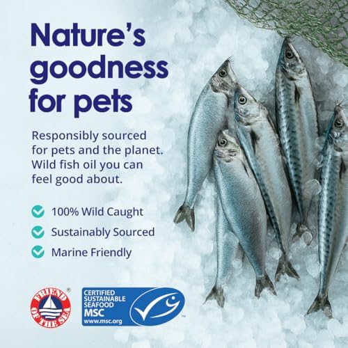 Wild Omega 3 Fish Oil for Dogs - Dog Fish Oil Liquid to Reduce Shedding & Itching - Supports Joints, Brain, and Heart Health - Fish Oil for Dogs Skin and Coat Supplement - Rich in EPA + DHA - 12oz