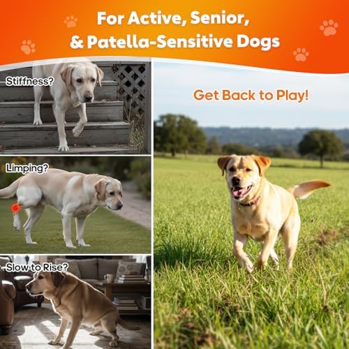 Glucosamine Chews for Dogs, Joint & Mobility Support, 120 Ct