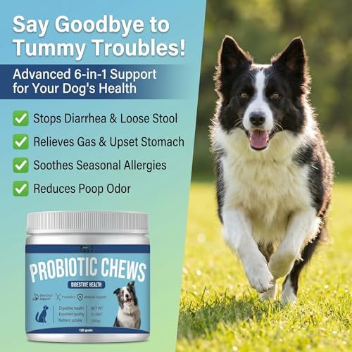 Probiotics for Dog 120 chews,Enzymes and Gut Support,Anti-Diarrhea,Promotes Digestive Health,Seasonal Allergies,Immune System,Probiotics with Papaya Pumpkin Krill Oil- Vet Approved Dog Probiotic Chews