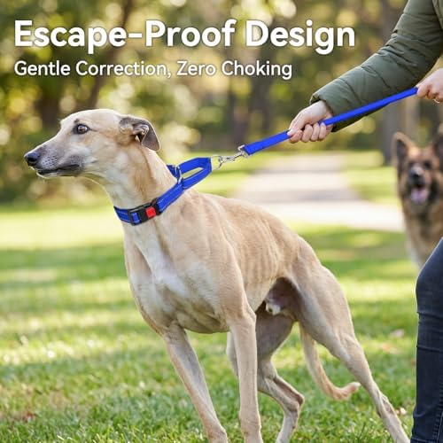 Joytale Martingale Collar for Dogs, Escape Proof No Pull, Navy Blue, S