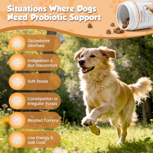 Probiotics for Dogs, for Diarrhea, Gas, Bloating & Itch Relief, 200 PCS
