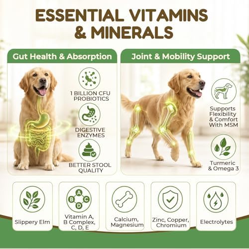 VUN Pet The Daily Dog Vitamins Supplements Multivitamin Powder for Dogs - Supports Whole Body Health, Digestion, Mobility & Immunity with Collagen, Glucosamine & Probiotics