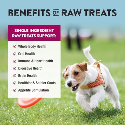 Northwest Naturals Raw Rewards Freeze-Dried Beef Heart Treats - 10oz
