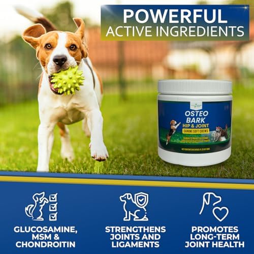 Osteo Bark Hip & Joint Canine Soft Chews, 60 Count, Bone and Joint Support for All Dog Breeds - Glucosamine & Chondroitin Chews with MSM - Pain, Inflammation, Arthritis