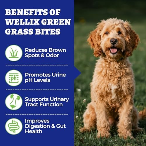 Wellix Grass Savers for Dogs Urine, Green Lawn Chews for Dog, 9.17 oz