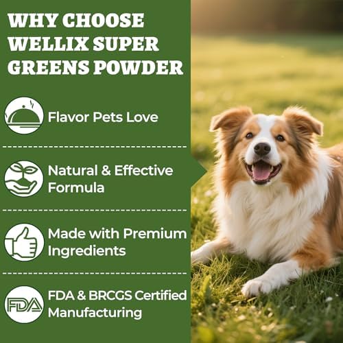 Wellix 7.02oz Super Greens Powder with Organic Spirulina, Chlorella&Spinach