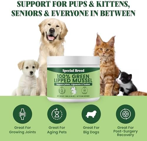 Green Lipped Mussel Powder for Dogs & Cats - 100% New Zealand Green Lipped Mussels - Natural Hip & Joint Supplement for Joints, Tendons, Ligaments, Muscles - 150 Grams - Up to 500 Servings