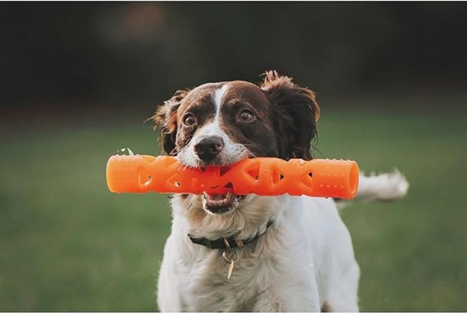 Chuckit! Air Fetch Stick Dog Toy, Small, Orange