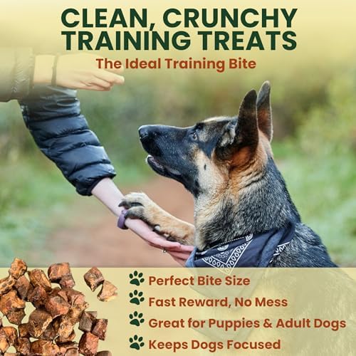 2.5 Lb Beef Lung Training Treats for Dogs – Single Ingredient Crunchy Bites, High Protein Cubes, Low Fat Natural Dog Treats, Perfect Reward Snacks for All Dogs