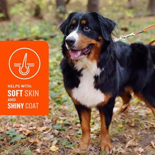 VetIQ Skin and Coat Supplement for Dogs, Helps Maintain Healthy Skin and Shiny Coat, Hickory Smoke Flavor Dog Chew, Made in The USA, 60 Count (Pack of 2)