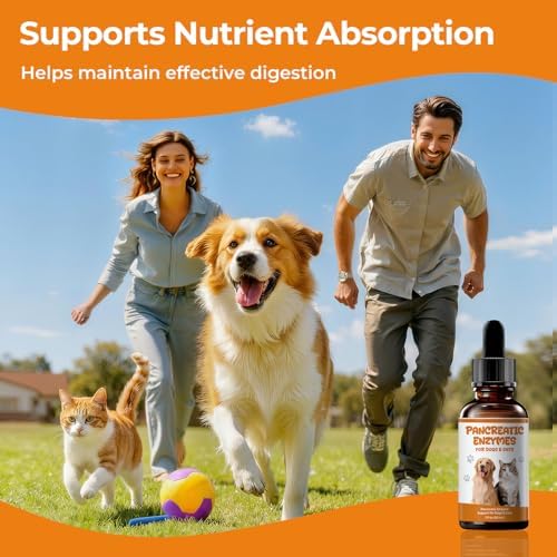 Pancreatic Enzymes for Dogs Drops, Pancreatin Digestive Enzyme for EPI